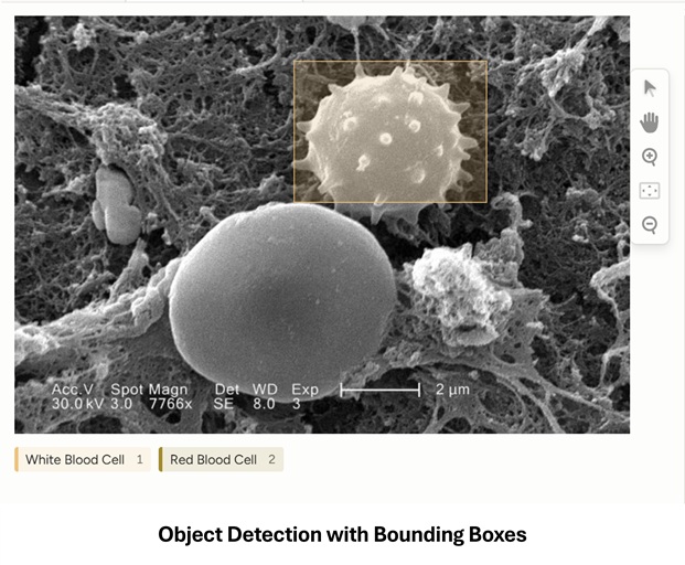 Object detection example with bounding boxes